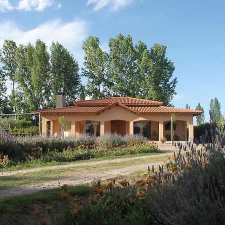 Casona Aventurados Villa Lujan de Cuyo Exteriör bild
