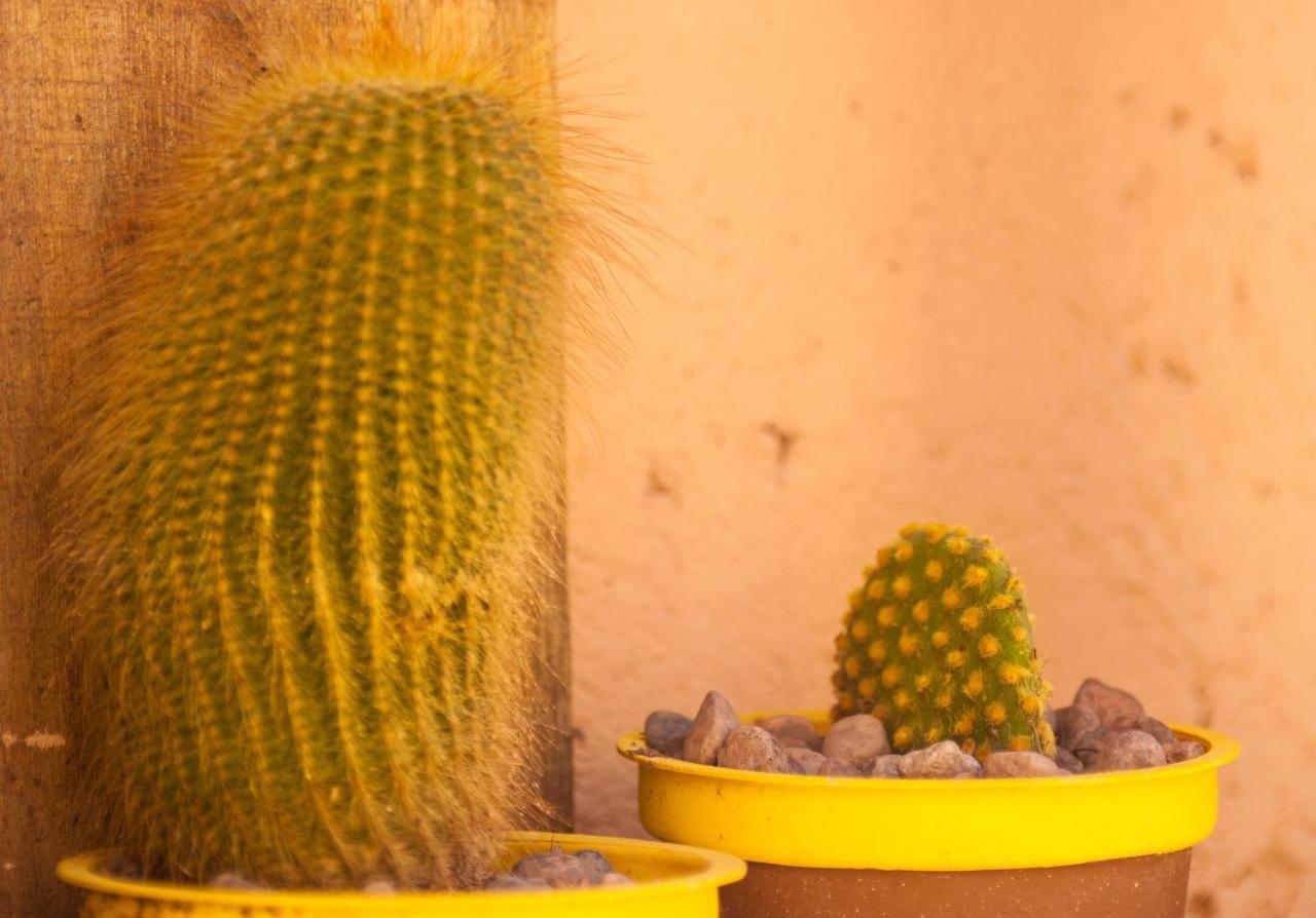 Casona Aventurados Villa Lujan de Cuyo Exteriör bild